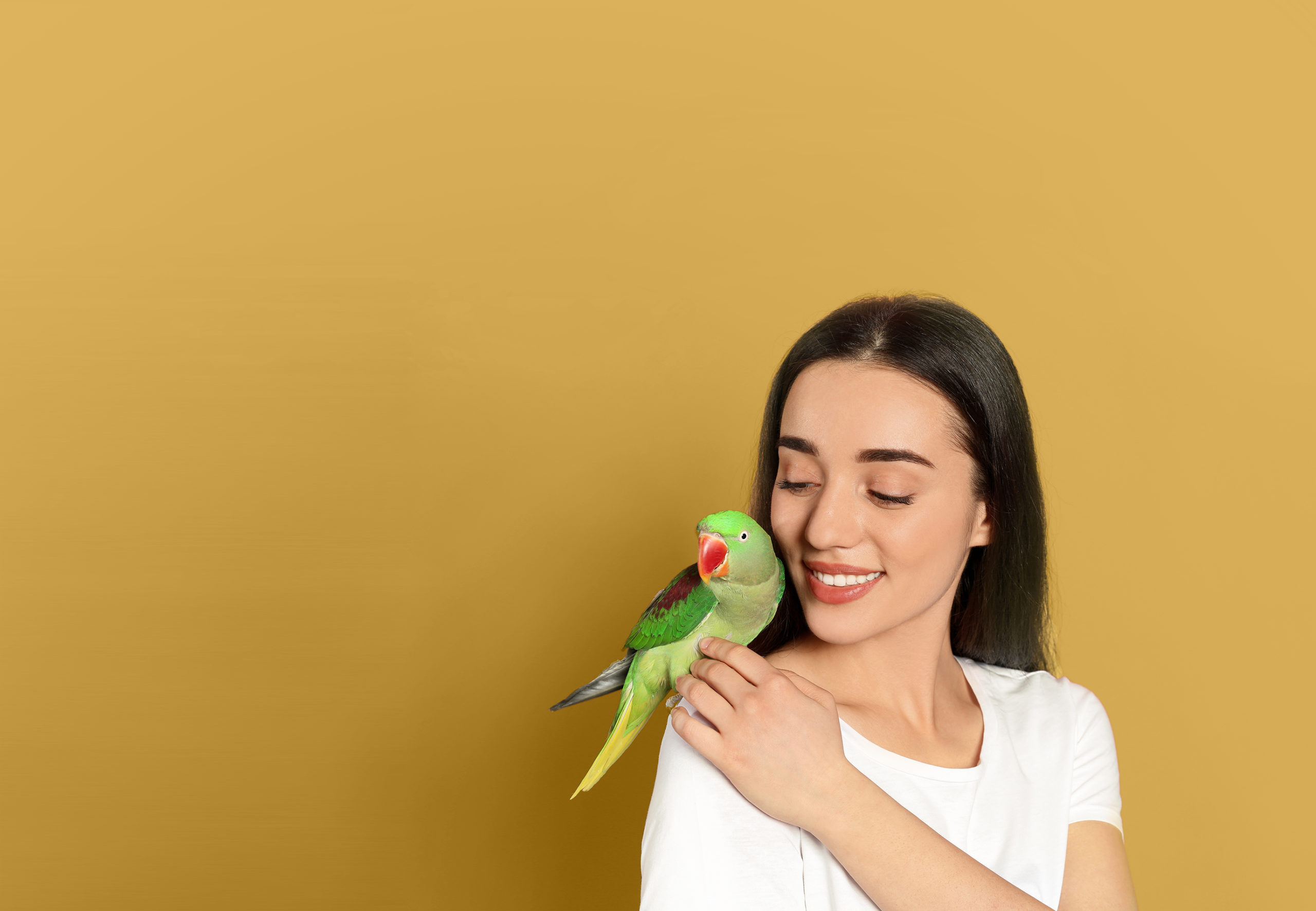 Avian Veterinarian in Fort Worth, TX VO Vets