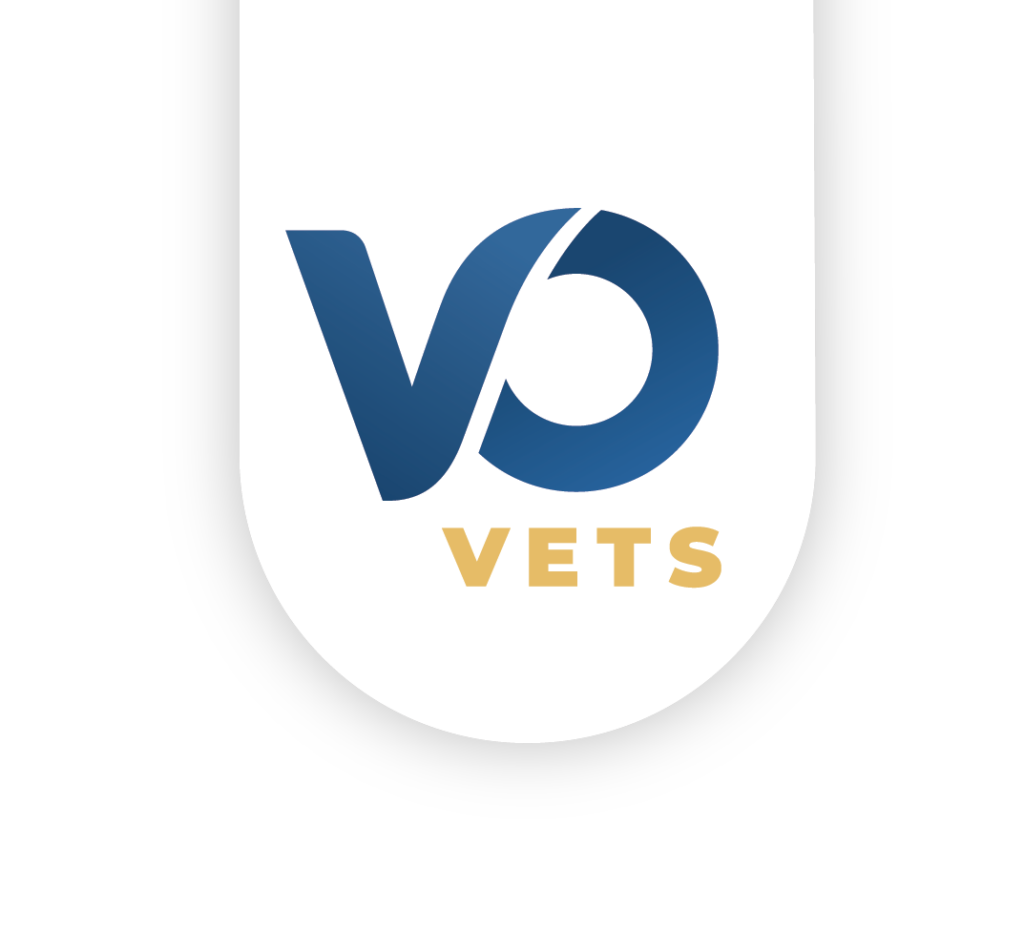 VO Vets logo in blue and yellow
