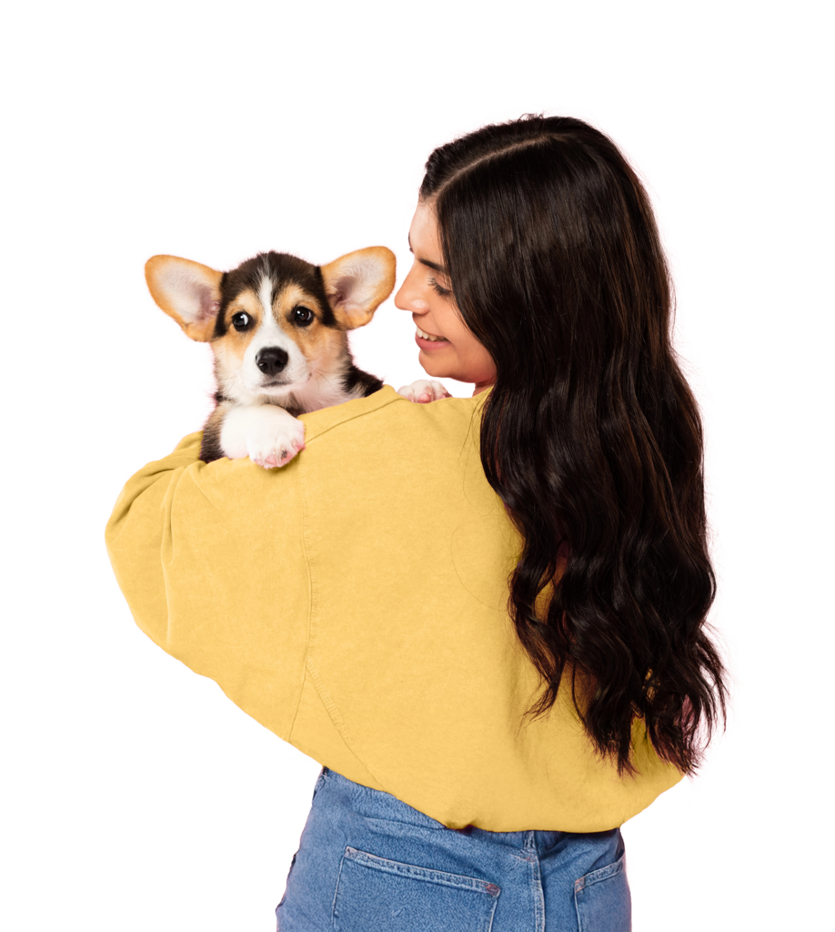 Girl in yellow holding tri colored dog