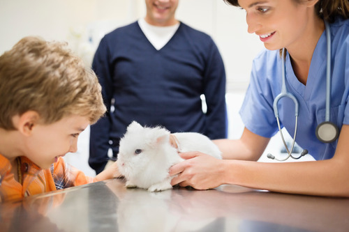 vet-examining-pet-rabbit-as-young-boy-and-older-male-owner-watch